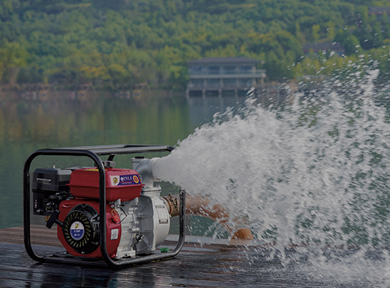 Gasoline Water Pump