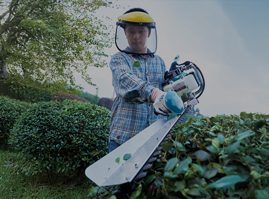 Gasoline Hedge Trimmer
