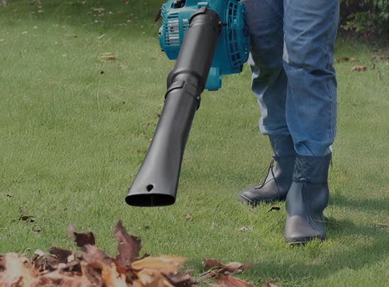Handheld Blower