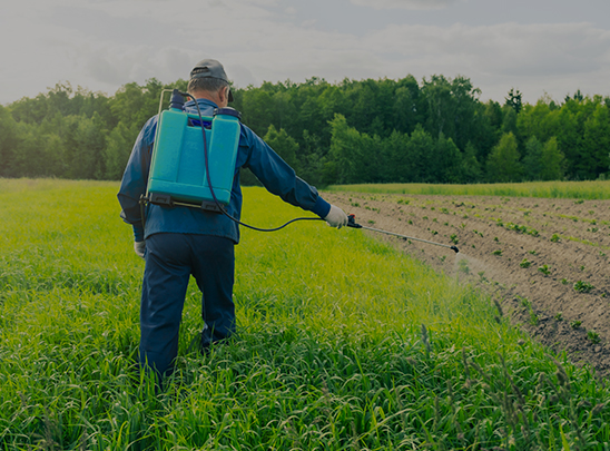 Manual Sprayer
