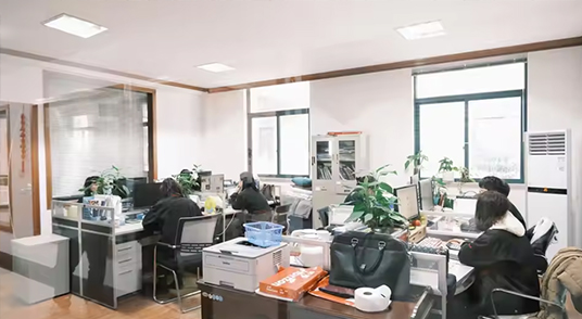 PROFESSIONAL SERVICES
