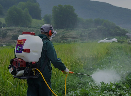 Knapsack Power Sprayer
